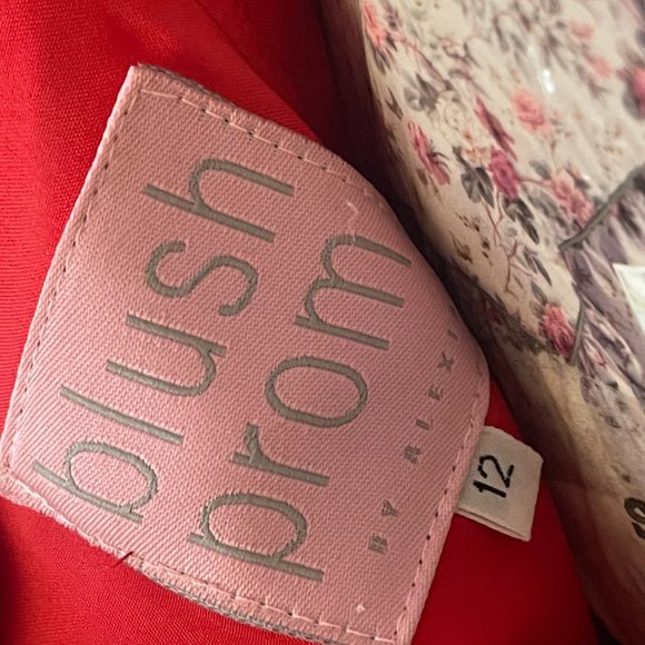 BLUSH by Alexia Designs Pink Prom Dress Size 12 Evening Dress Short/Long Gown - Picture 14 of 15